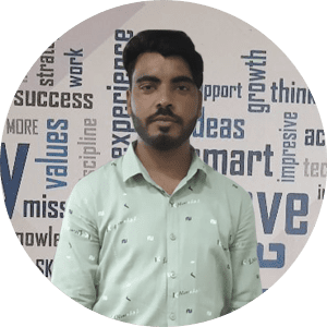 Project Manager
